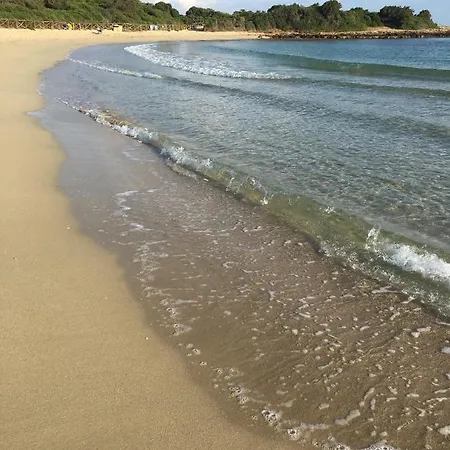 Vista Mar ホームステイ